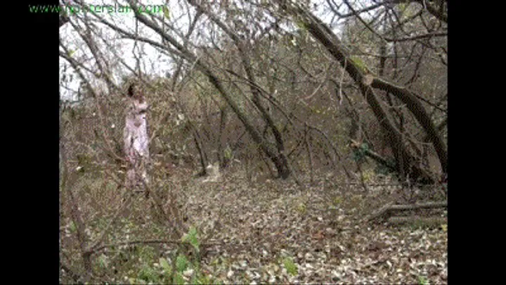 The prom queen thought she escaped into the woods ( 8000kbps)