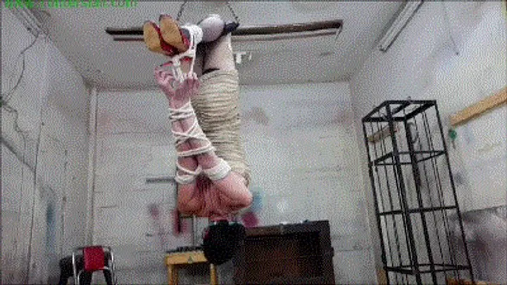 TS slut hangs in an inverted hogtie strap-on face fucked and made to cum