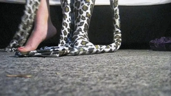 Zentai Kitty Floor POV