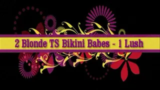 2 TS Bikini Babes, 1 Lush! - iPhone/