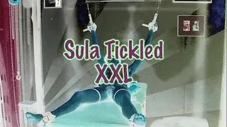SUBMISSIVE SULA TICKLED SILLY! QUICKIE 320x240
