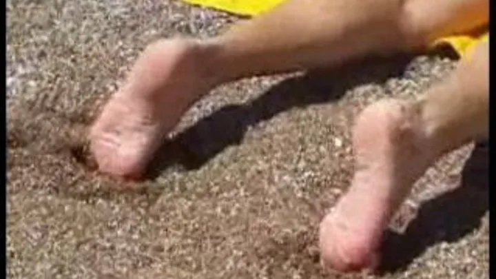 Soles on the Beach