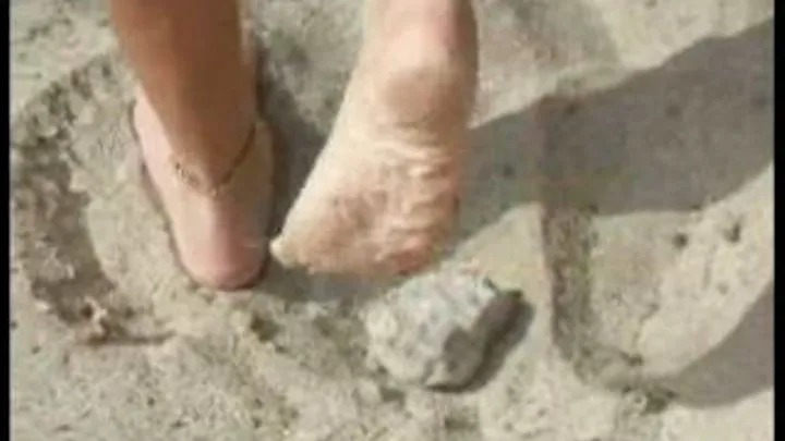 Toes & Soles Barefoot in the Sand