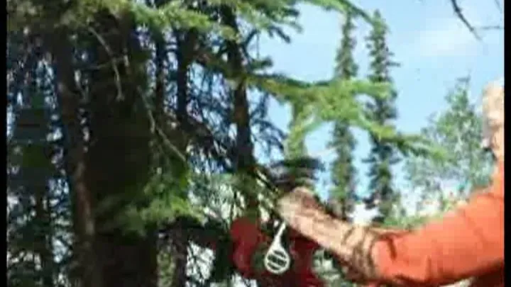 MILF/GILF at work with Noisy Chainsaw