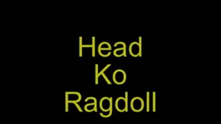 Vid 243 Head KO Ragdoll Part 1