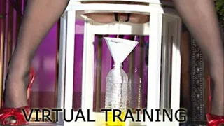 TOILET - Virtual Training Session