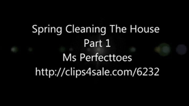 Spring Cleaning The House Part 1