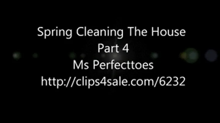 Spring Cleaning The House Part 4