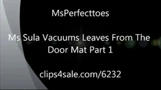 Ms Sula Vacuums Leaves From The Door Mat Part 1.mgp