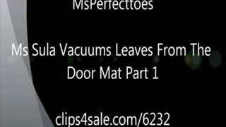 Ms Sula Vacuums Leaves From The Door Mat Part 1