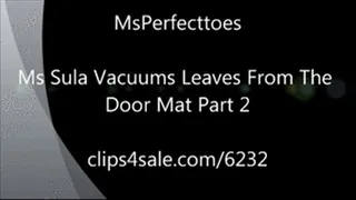 Ms Sula Vacuums Leaves From The Door Mat Part 2