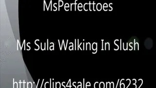 Ms Sula Walking In Slush.