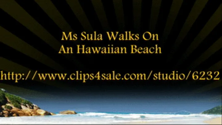 Ms Sula Walks On An Hawaiian Beach
