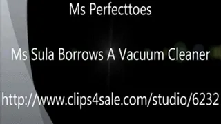 Ms Sula Borrows a Vacuum Cleaner