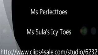 Ms Sula's Icy Toes