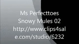 Snowy Mules 02