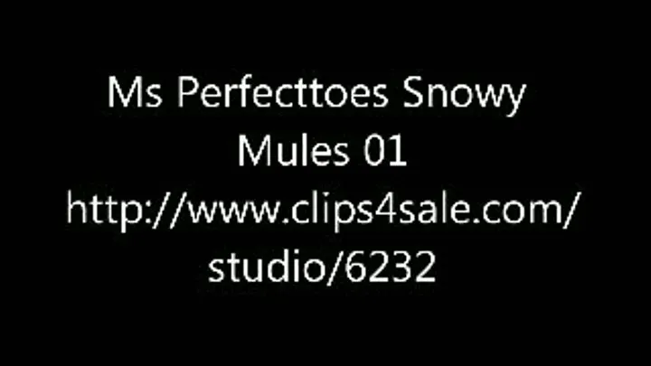 Snowy Mules 01