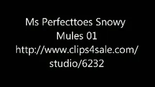 Snowy Mules 01