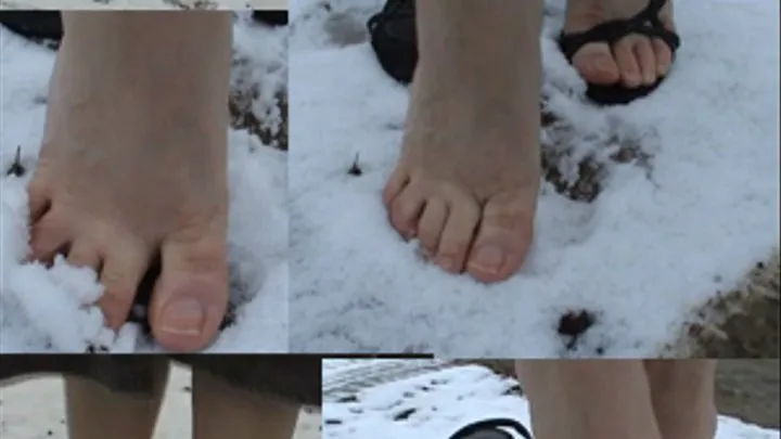 Snowy Sandals