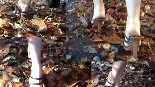 Walking Through Leaves