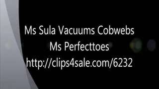 Ms Sula Vacuums Cobwebs Part 1