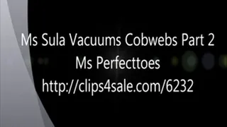 Ms Sula Vacuums Cobwebs Part 2