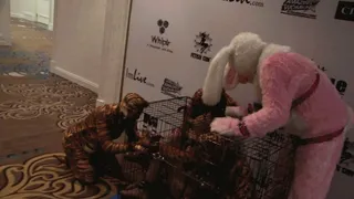 1 Furry & 4 Kitties at FetishCon 2016