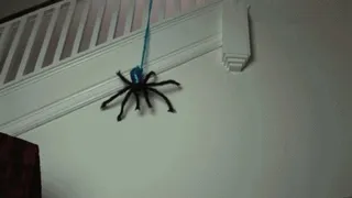 Attack of the Space Spider