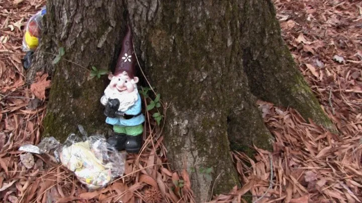 Popping In Gnome Land