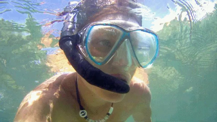 Naked Snorkeling In Jamaica