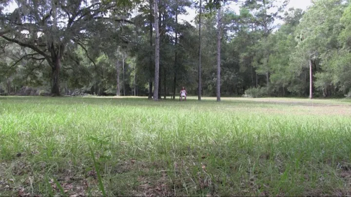 Chair Bound In Middle of Woods