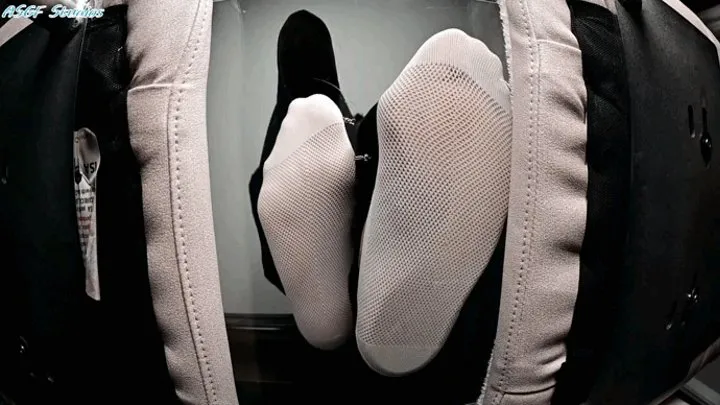 SMD white sock squash!