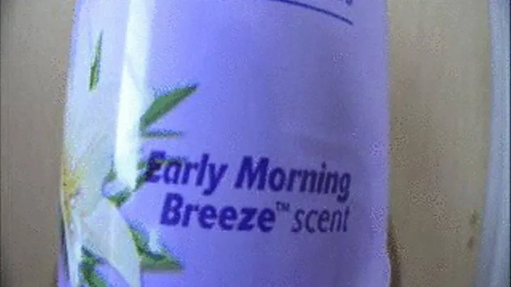 lysol Early Morning Scent Sneezes Pt 2 DIALUP