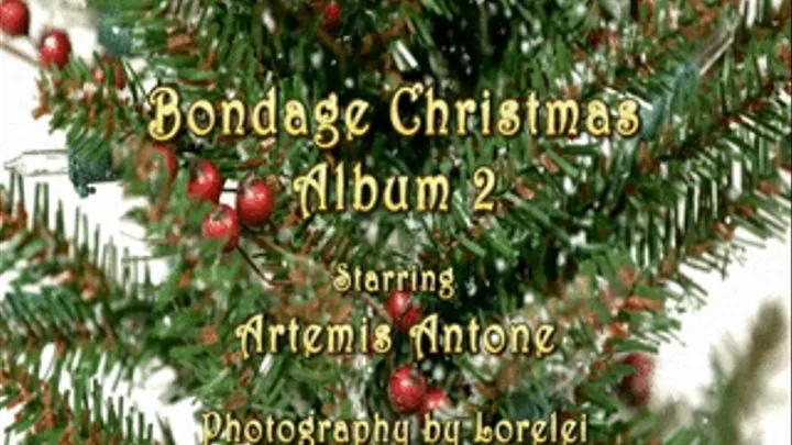 Slideshow: Bondage Christmas Album 2