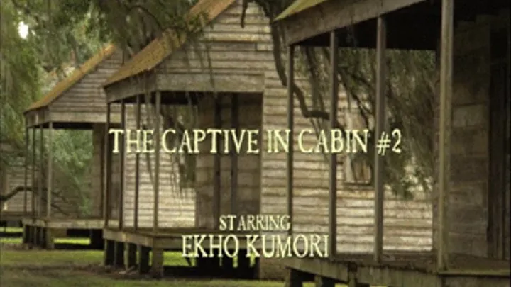 The Captive In Cabin #2