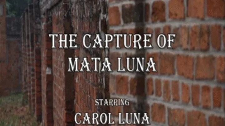 The Capture of Mata Luna