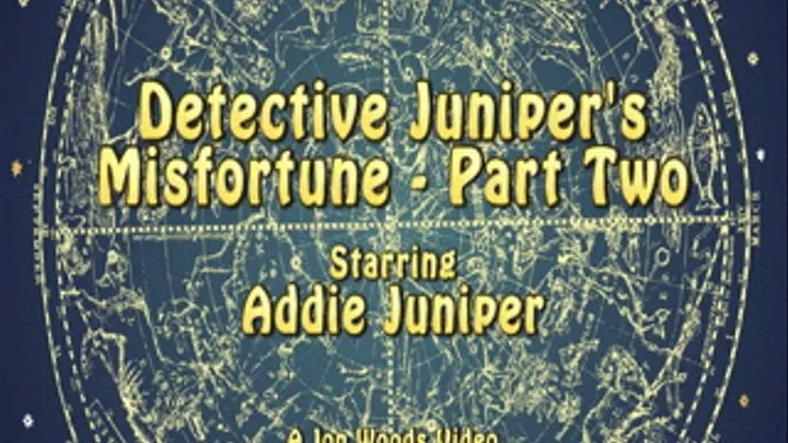 Detective Juniper's Misfortune - Part Two