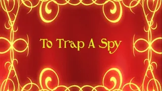 To Trap A Spy