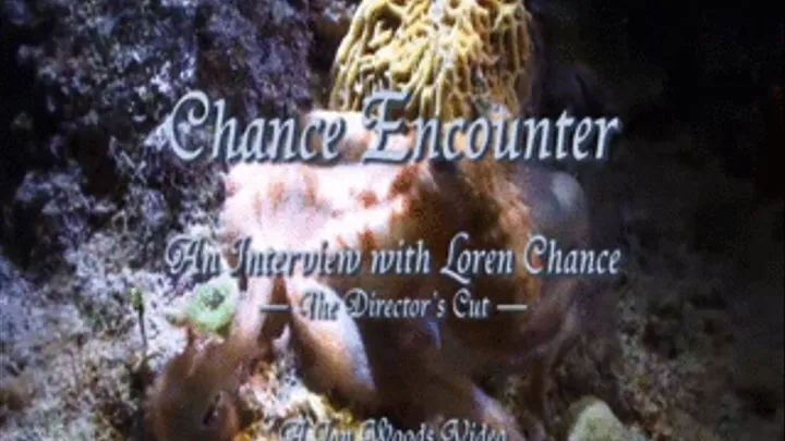 Chance Encounter - Part One