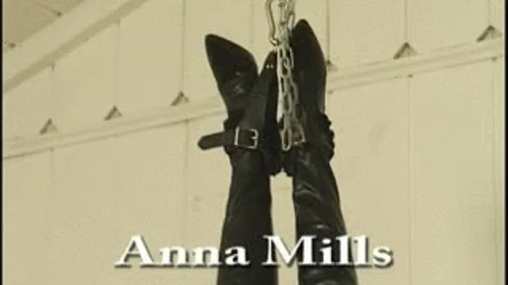 Anna's Inverted Suspension