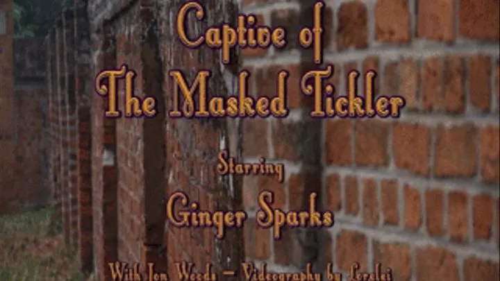 Captive of The Masked Tickler