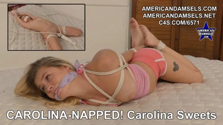 Carolina-Napped! - Carolina Sweets