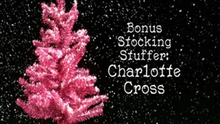 Bonus Stocking Stuffer - Charlotte Cross - Part One