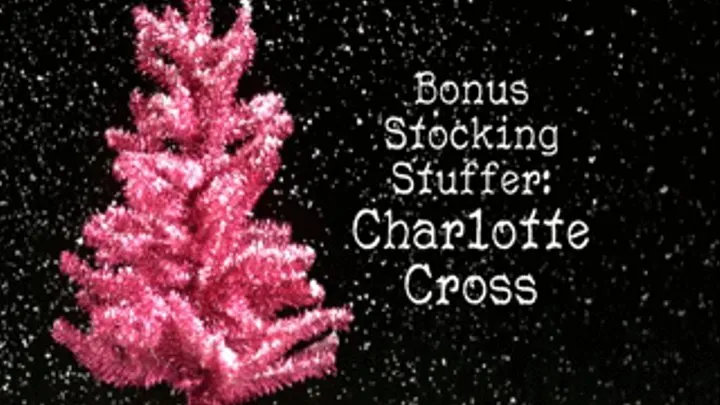 Bonus Stocking Stuffer - Charlotte Cross - Part One