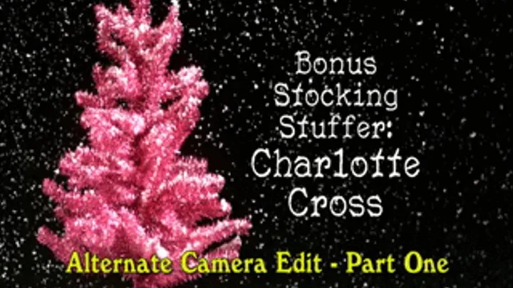 Bonus Stocking Stuffer - Charlotte Cross - Alternate Camera Edit - Part One