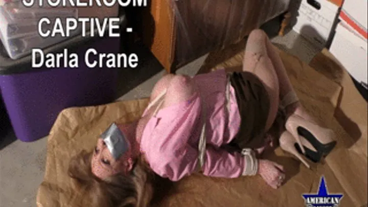 Storeroom Captive - Darla Crane