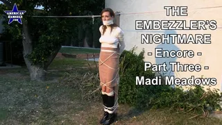 The Embezzler's Nightmare - Encore - Part Three - Madi Meadows