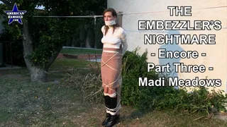 The Embezzler's Nightmare - Encore - Part Three - Madi Meadows