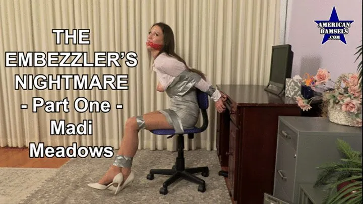 The Embezzler's Nightmare - Part One - Madi Meadows