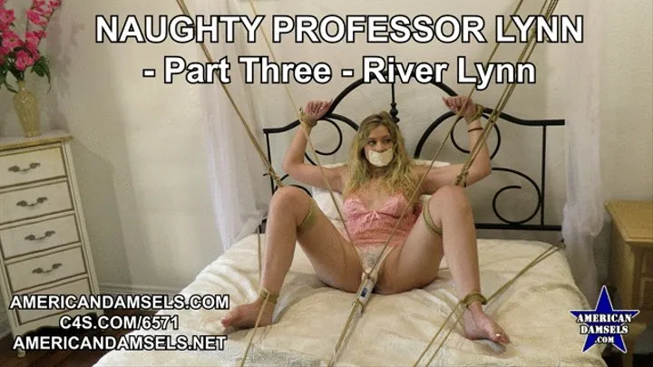 Naughty Professor Lynn - Part Three - River Lynn